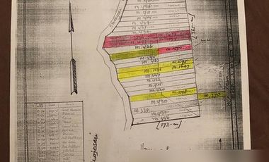 Tanah pertanian dusun jerukwangi desa jiyu kec kutorejo kab mojokerto