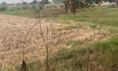 Jl raya sebrang sumarecon karawang