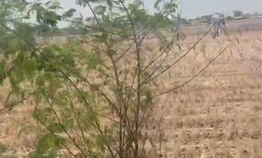 Jl raya sebrang sumarecon karawang