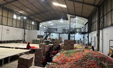 TAKE OVER PABRIK MAKANAN DI AMBARAWA JAWA TENGAH DEKAT TOL BAWEAN