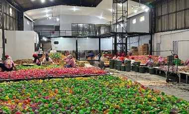 TAKE OVER PABRIK MAKANAN DI AMBARAWA JAWA TENGAH DEKAT TOL BAWEAN