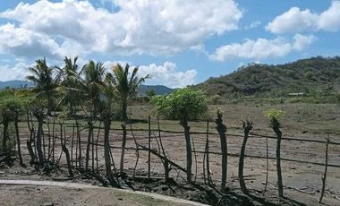 Dijual tanah di Sumbawa Barat dkt pelabuhan Poto Tano NTB