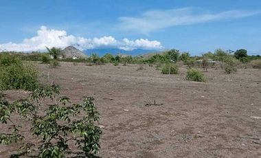 Dijual tanah di Sumbawa Barat dkt pelabuhan Poto Tano NTB