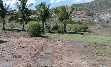 Dijual tanah di Sumbawa Barat dkt pelabuhan Poto Tano NTB