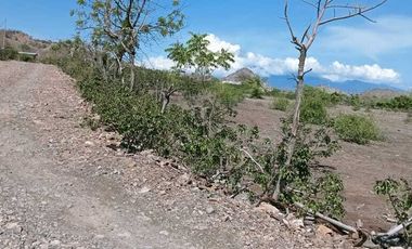 Dijual tanah di Sumbawa Barat dkt pelabuhan Poto Tano NTB