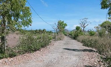 Dijual tanah di Sumbawa Barat dkt pelabuhan Poto Tano NTB