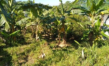 Disewakan Tanah Komersil di Tengah Kota Bogor Cocok Untuk Cafe Resto