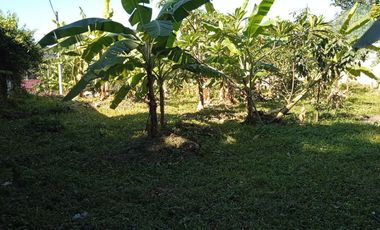 Disewakan Tanah Komersil di Tengah Kota Bogor Cocok Untuk Cafe Resto