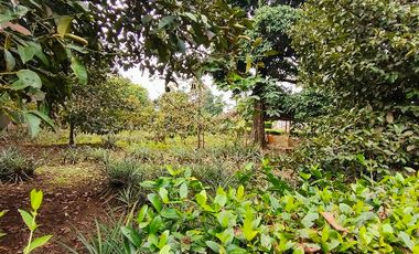 Rumah Villa Lembang Bandung dkt D'castello