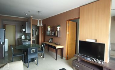Spesialis apartement Hampton park good location