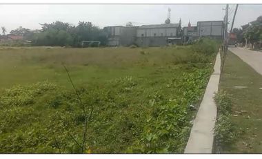 Karawang untuk pergudanagan dan industri