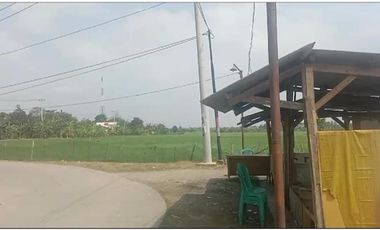 Karawang untuk pergudanagan dan industri