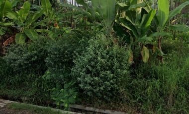 indomrt di Pantura batang siap take over