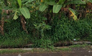 indomrt di Pantura batang siap take over