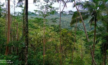 tanah murah,pinggir jalan aspal kabupaten.