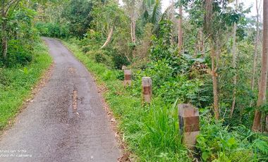 tanah murah,pinggir jalan aspal kabupaten.