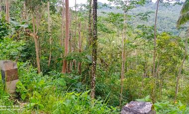 tanah murah,pinggir jalan aspal kabupaten.