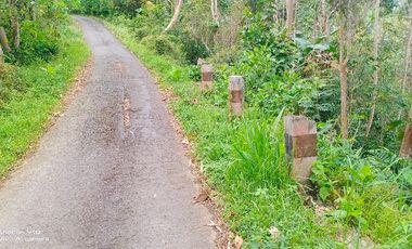 tanah murah,pinggir jalan aspal kabupaten.