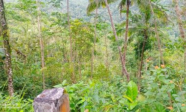 tanah murah,pinggir jalan aspal kabupaten.