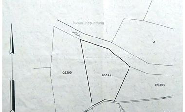 tanah murah,pinggir jalan propinsi.view istimewa
