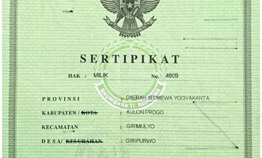 tanah murah,pinggir jalan propinsi.view istimewa