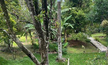 Raya trawas  cck untuk komersial