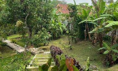 Raya trawas  cck untuk komersial