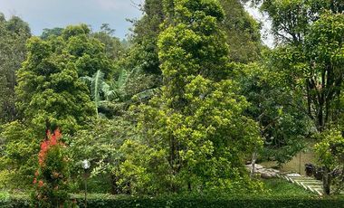 Raya trawas  cck untuk komersial