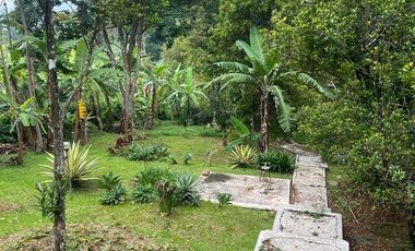 Raya trawas  cck untuk komersial