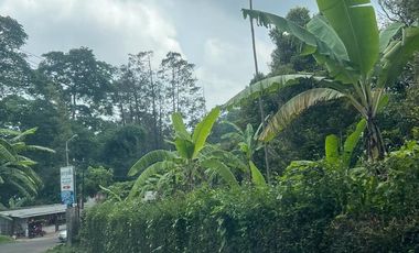 Raya trawas  cck untuk komersial