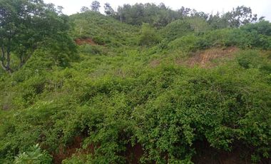 Jual tanah di MANDALIKA LOMBOK 9125m2 view sirkuit