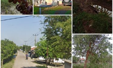 Rumah dijual di Balingbing, Subang, Jawa Barat