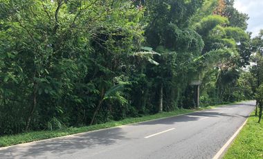 DIJUAL TANAH MURAH DI UBUD GIANYAR