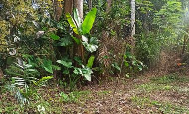 DIJUAL TANAH MURAH DI UBUD GIANYAR