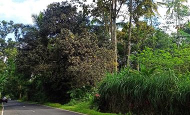 DIJUAL TANAH MURAH DI UBUD GIANYAR