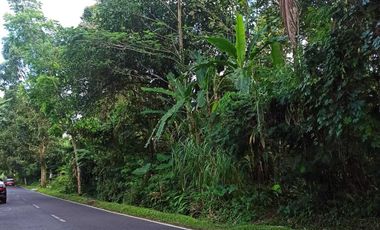 DIJUAL TANAH MURAH DI UBUD GIANYAR