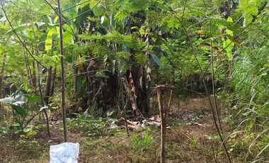 DIJUAL TANAH MURAH DI UBUD GIANYAR