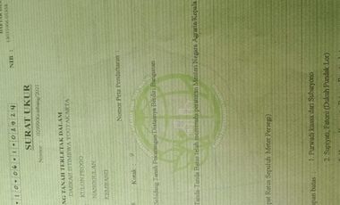 tanah murah,view sawah.bonus rumah siap huni