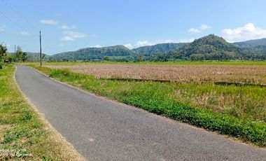 tanah murah,view sawah.bonus rumah siap huni
