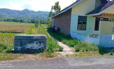 tanah murah,view sawah.bonus rumah siap huni