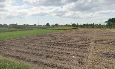 Jual Tanah Bonus Rumah Etnik dkt Kampus Unwidha Widya Dharma Klaten