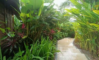 villa exotic wooden houses di bajra selemadeg tabanan