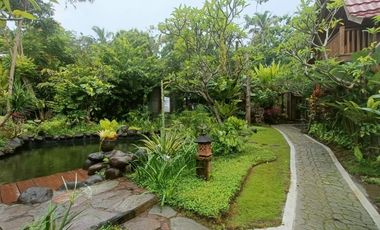 villa exotic wooden houses di bajra selemadeg tabanan