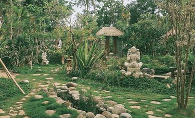 villa exotic wooden houses di bajra selemadeg tabanan