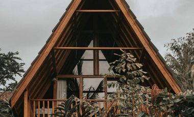 villa exotic wooden houses di bajra selemadeg tabanan