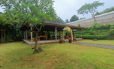 villa exotic wooden houses di bajra selemadeg tabanan