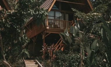 villa exotic wooden houses di bajra selemadeg tabanan
