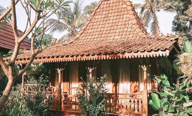 villa exotic wooden houses di bajra selemadeg tabanan