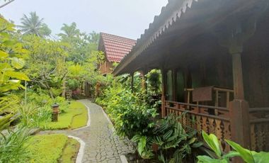 villa exotic wooden houses di bajra selemadeg tabanan