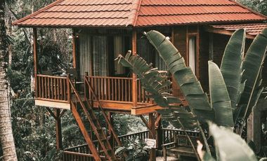 villa exotic wooden houses di bajra selemadeg tabanan